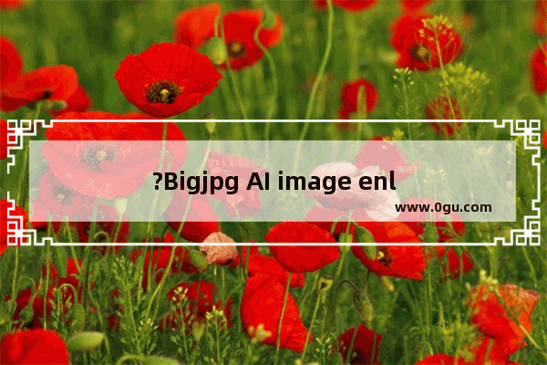 ?Bigjpg AI image enlarge超过限制怎么办 bigjpg解决超过限制的方法教程