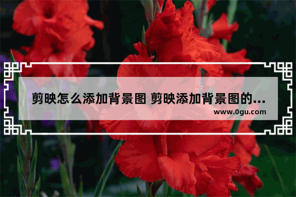 剪映怎么添加背景图 剪映添加背景图的方法