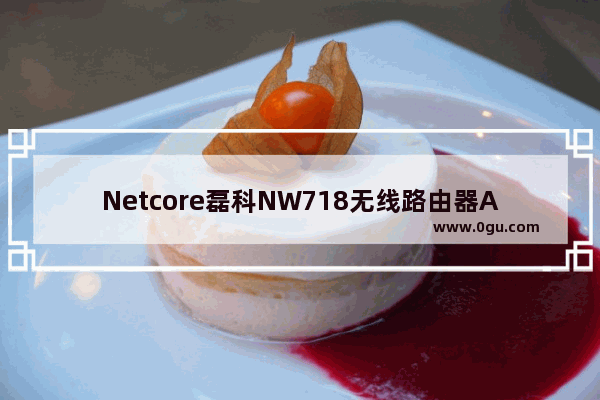 Netcore磊科NW718无线路由器ADSL设置上网方法