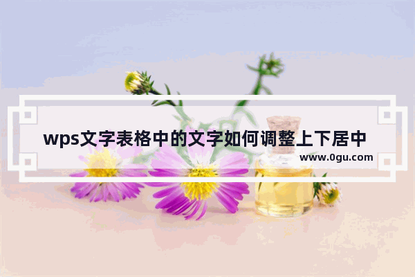 wps文字表格中的文字如何调整上下居中 wps Word表格中的文字设置上下居中对齐的方法