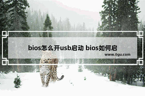 bios怎么开usb启动 bios如何启用usb