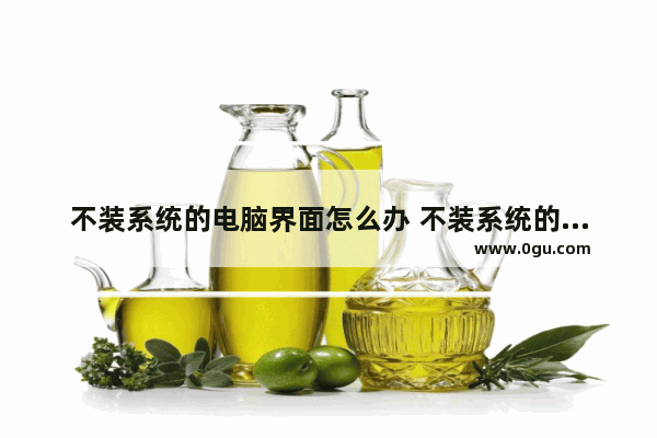 不装系统的电脑界面怎么办 不装系统的电脑可以开机吗