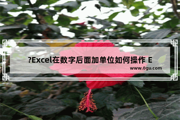 ?Excel在数字后面加单位如何操作 Excel在数字后面统一添加单位的方法教程