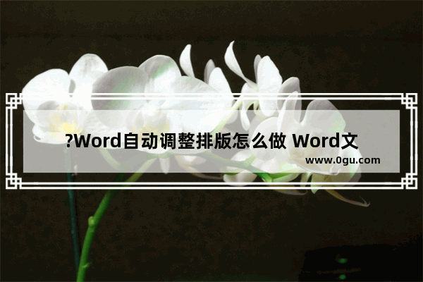 ?Word自动调整排版怎么做 Word文档自动调整排版的方法教程
