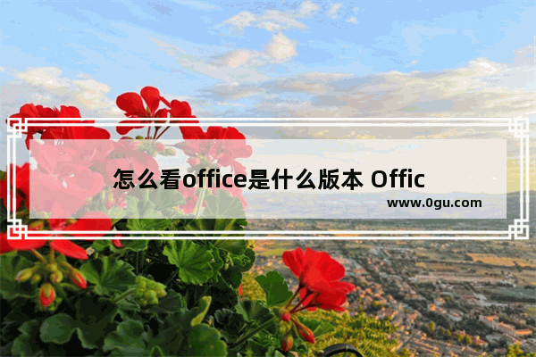 怎么看office是什么版本 Office 历史版本分析