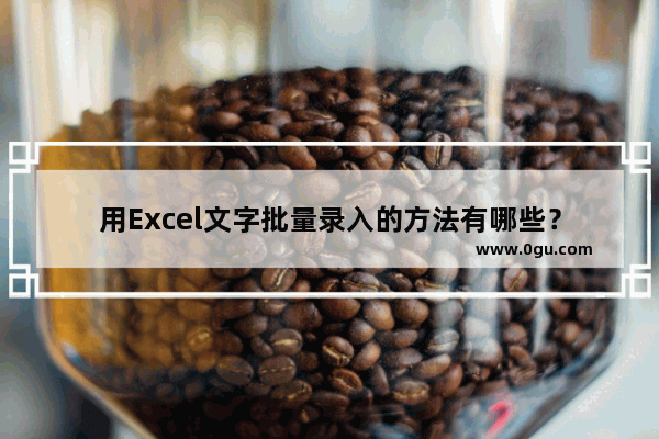 用Excel文字批量录入的方法有哪些？