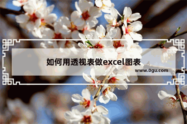 如何用透视表做excel图表