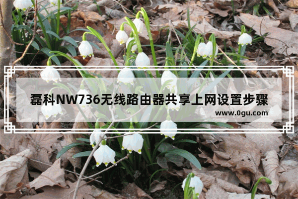 磊科NW736无线路由器共享上网设置步骤
