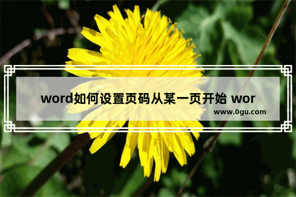word如何设置页码从某一页开始 word页码设置基础知识盘点