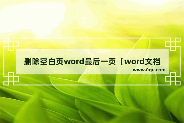 删除空白页word最后一页【word文档删除空白页教程】