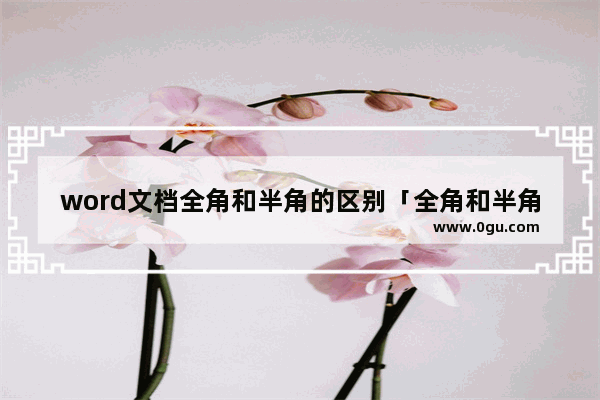 word文档全角和半角的区别「全角和半角的切换的快捷键」