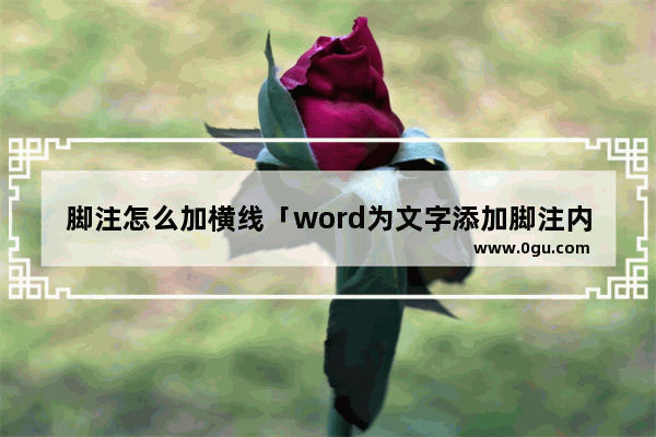 脚注怎么加横线「word为文字添加脚注内容」