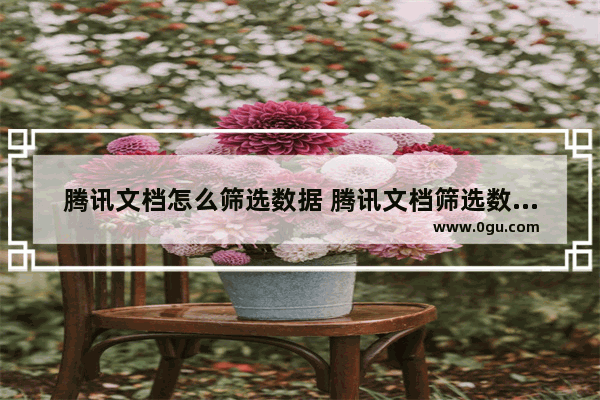 腾讯文档怎么筛选数据 腾讯文档筛选数据的方法