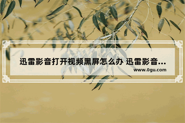 迅雷影音打开视频黑屏怎么办 迅雷影音打开视频黑屏的解决方法
