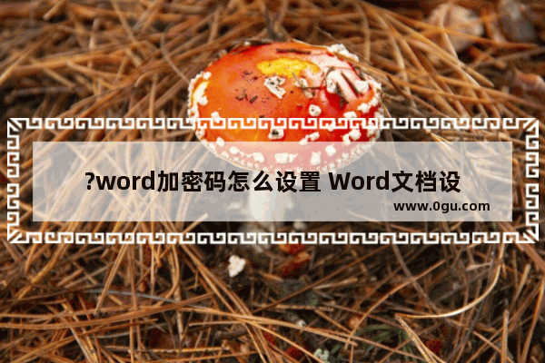 ?word加密码怎么设置 Word文档设置密码保护的方法教程