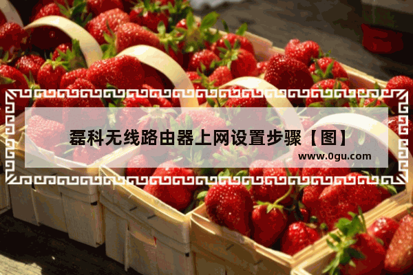 磊科无线路由器上网设置步骤【图】