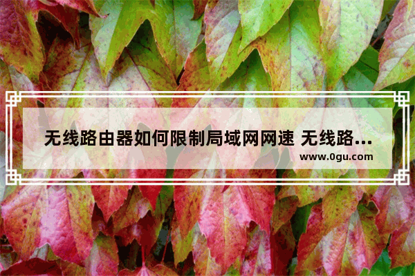 无线路由器如何限制局域网网速 无线路由器限制局域网网速方法【介绍】