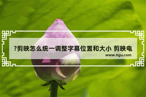?剪映怎么统一调整字幕位置和大小 剪映电脑版批量调整字幕大小和位置的方法教程