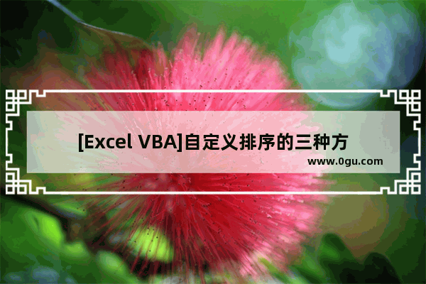[Excel VBA]自定义排序的三种方法