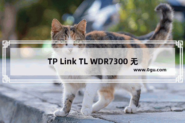 TP Link TL WDR7300 无线路由器上网时间控制功能设置