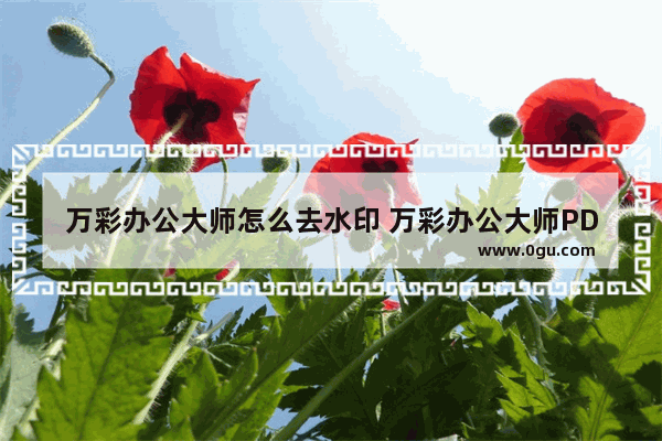 万彩办公大师怎么去水印 万彩办公大师PDF去水印的方法