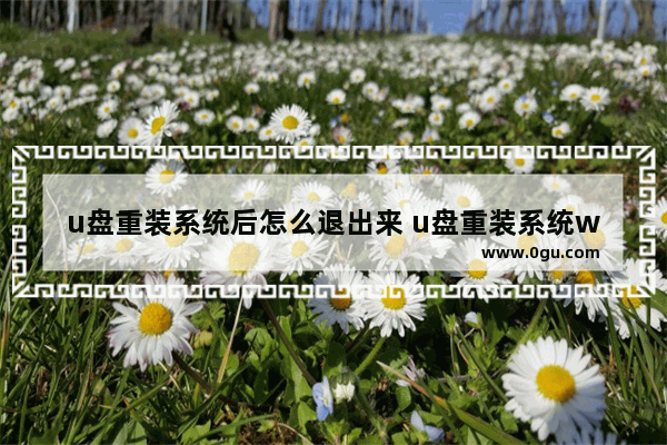 u盘重装系统后怎么退出来 u盘重装系统win7步骤和详细教程