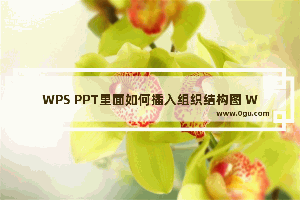 WPS PPT里面如何插入组织结构图 WPS PPT插入组织结构图的方法