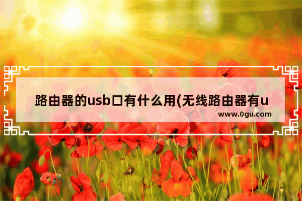 路由器的usb口有什么用(无线路由器有usb接口)