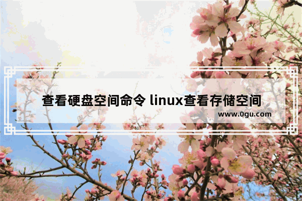 查看硬盘空间命令 linux查看存储空间大小