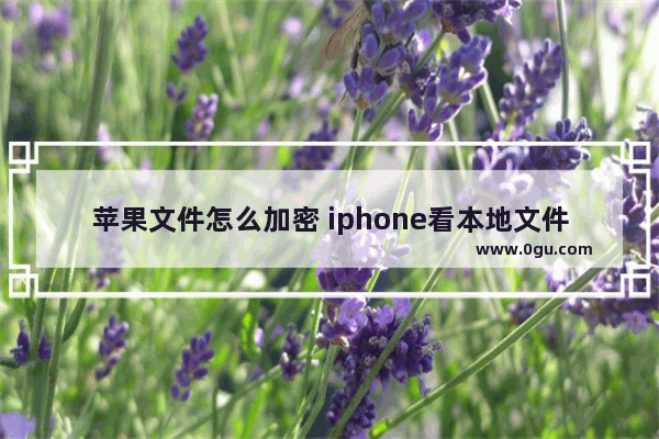 苹果文件怎么加密 iphone看本地文件管理教程