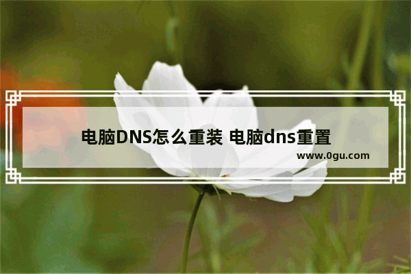 电脑DNS怎么重装 电脑dns重置
