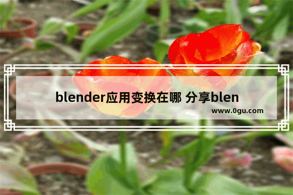 blender应用变换在哪 分享blender建模入门教学