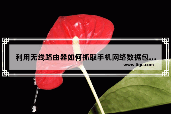利用无线路由器如何抓取手机网络数据包【详细介绍】