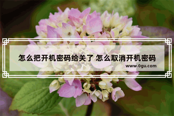 怎么把开机密码给关了 怎么取消开机密码