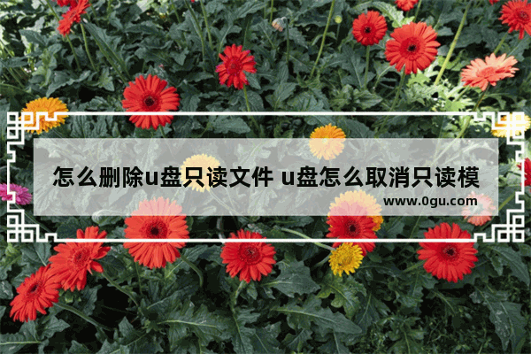 怎么删除u盘只读文件 u盘怎么取消只读模式与写入保护