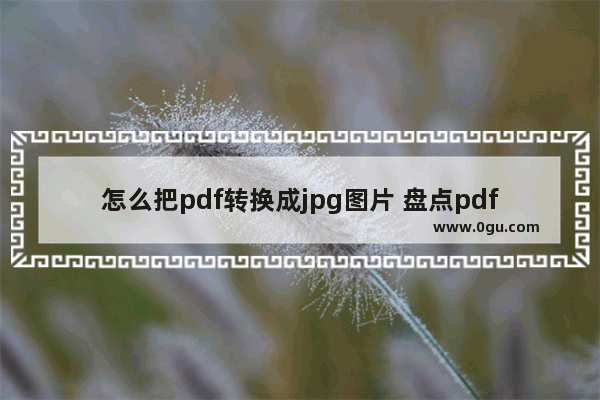 怎么把pdf转换成jpg图片 盘点pdf转换成jpg最简单方式