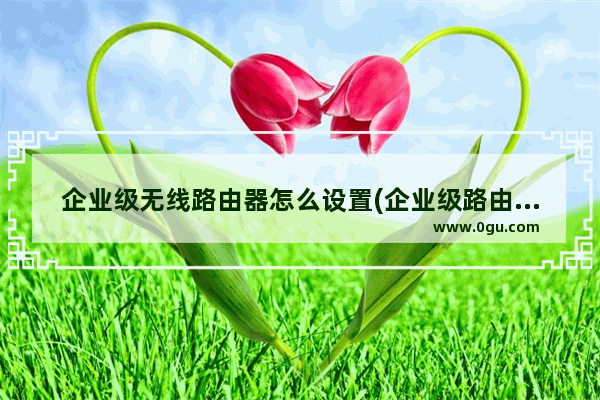 企业级无线路由器怎么设置(企业级路由器怎么设置上网)