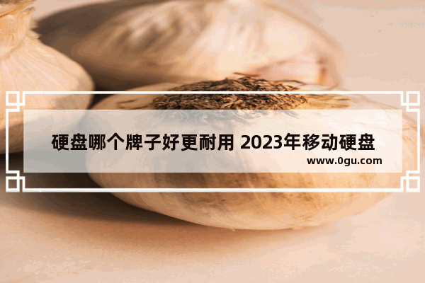 硬盘哪个牌子好更耐用 2023年移动硬盘排行榜