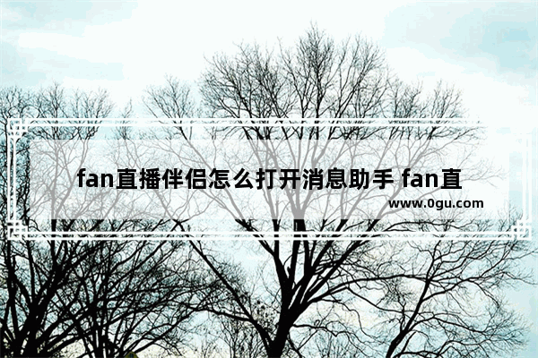 fan直播伴侣怎么打开消息助手 fan直播伴侣查看弹幕的方法
