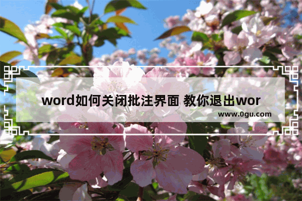 word如何关闭批注界面 教你退出word的批改模式