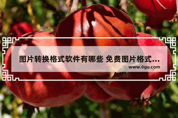图片转换格式软件有哪些 免费图片格式转换app推荐