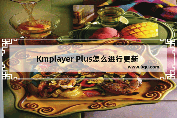 Kmplayer Plus怎么进行更新 Kmplayer Plus进行更新的方法