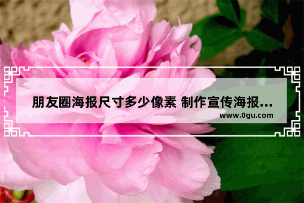 朋友圈海报尺寸多少像素 制作宣传海报图片规格