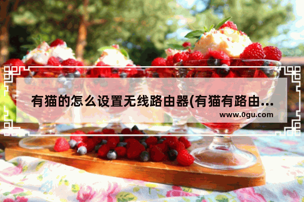 有猫的怎么设置无线路由器(有猫有路由器怎么设置)