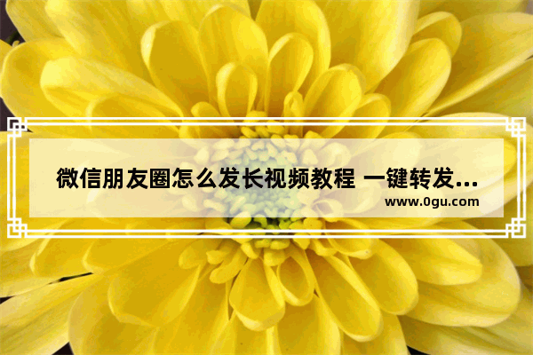 微信朋友圈怎么发长视频教程 一键转发长视频软件推荐