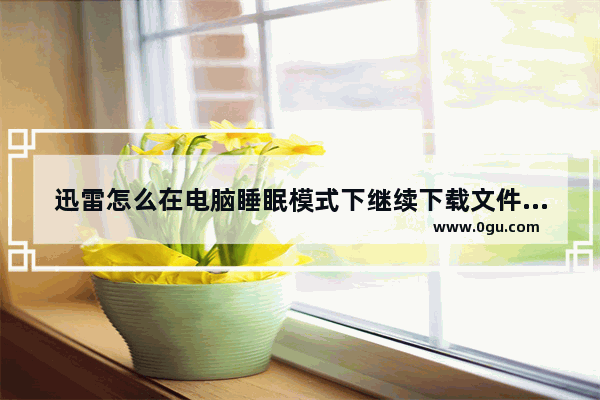 迅雷怎么在电脑睡眠模式下继续下载文件 迅雷电脑版设置在电脑睡眠时仍然下载文件的方法