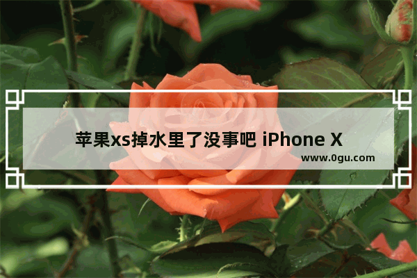 苹果xs掉水里了没事吧 iPhone Xs 进水的处理方案