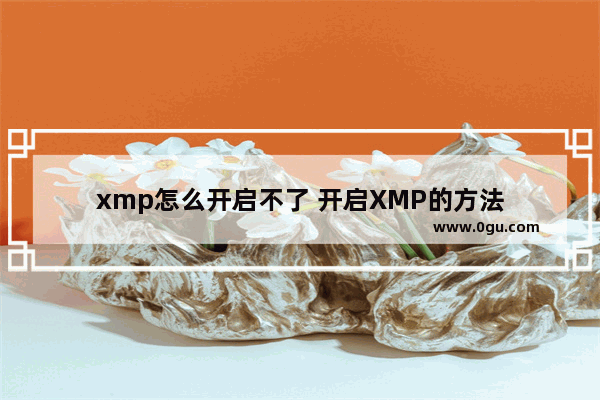 xmp怎么开启不了 开启XMP的方法