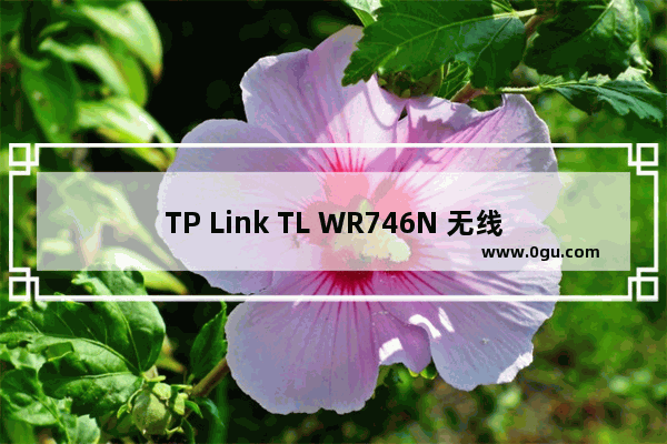 TP Link TL WR746N 无线路由器映射服务器到外网操作指导