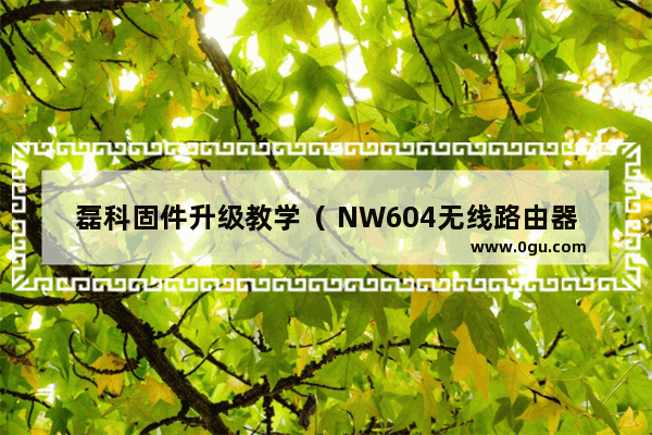 磊科固件升级教学（ NW604无线路由器固件升级方法）
